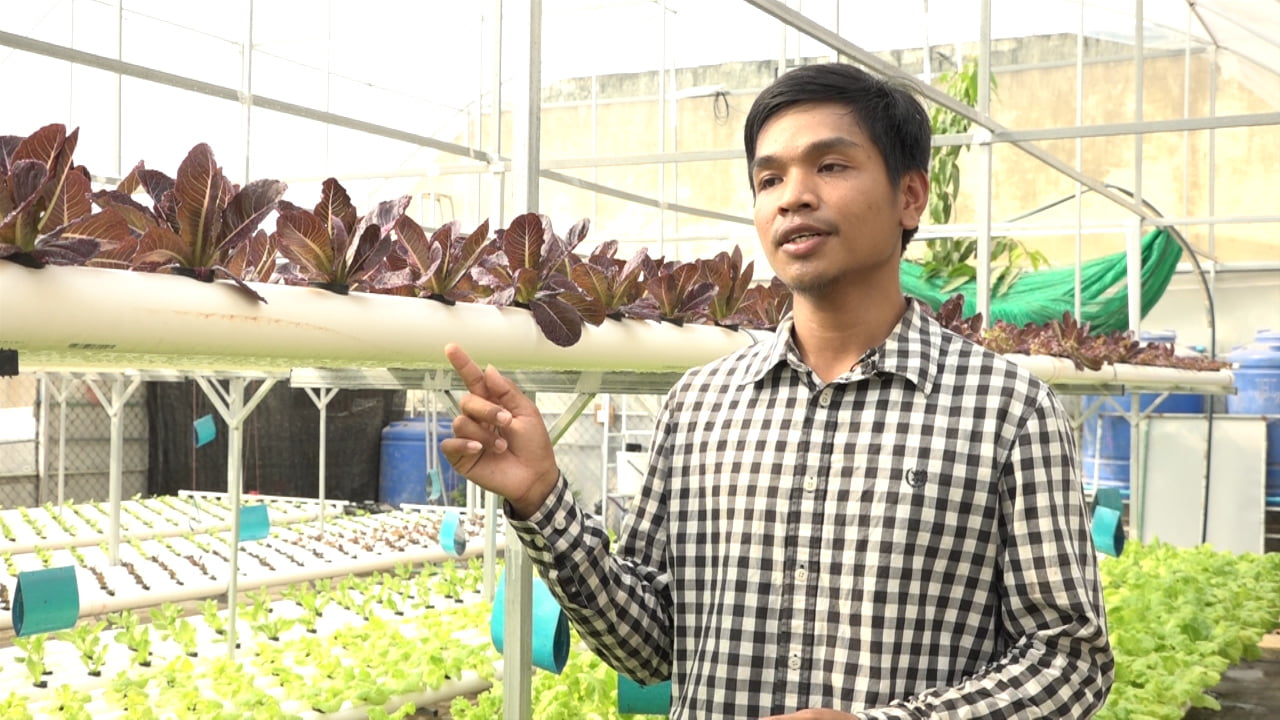 បច្ចេកទេសដាំបន្លែលើទឹក Hydroponics