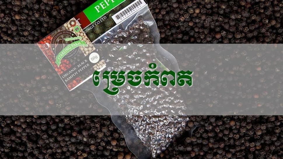 ម្រេចកំពត កំពុងបង្កើនភាពល្បីនៃម៉ាកសញ្ញាភូមិសាស្ត្រ ស្របពេលការលក់លើទីផ្សារអន្តរជាតិកំពុងកើនឡើងខ្ពស់