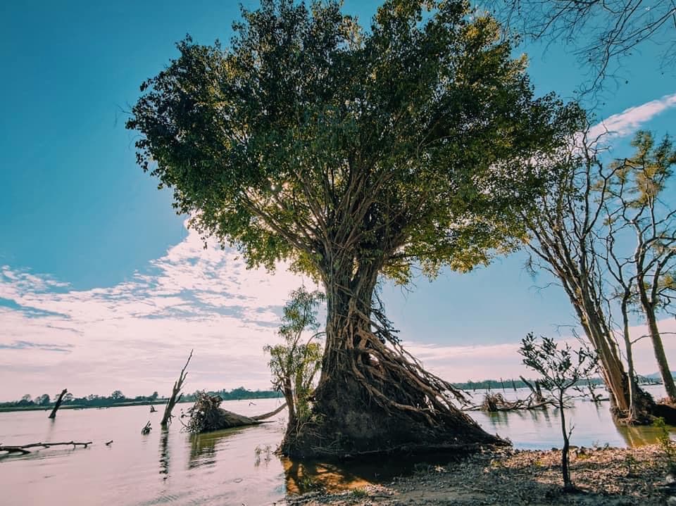 សន្តិភាព នាំឱ្យយើងមានឱកាសអភិវឌ្ឍប្រទេស និងមានពេលវេលាជួបជុំគ្រួសារយ៉ាងសប្បាយរីករាយនៅតាមតំបន់ទេសចរណ៍នានាក្នុងថ្ងៃឈប់សម្រាកចុងសប្តាហ៍ 🌸