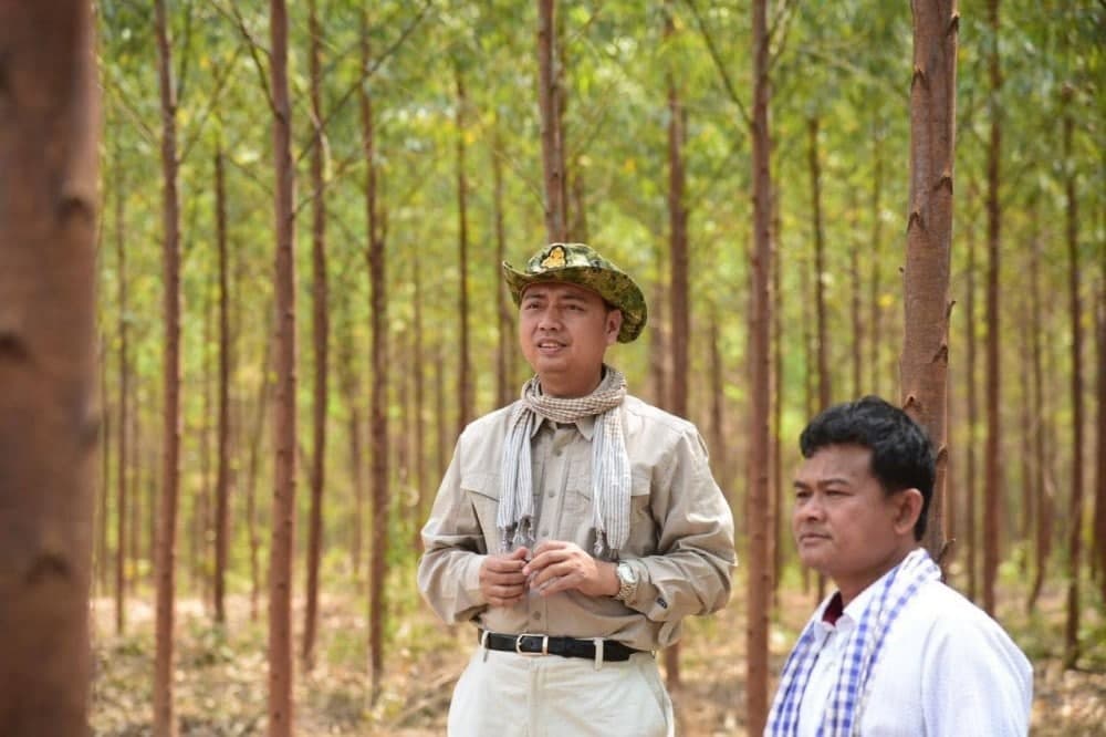 កម្ពុជាមានផ្ទៃដីសម្រាប់ដាំចម្ការឈើយ៉ាងតិច 2 លានហិកតា និងអាចផ្តល់ការងារជូនប្រជាពលរដ្ឋប្រមាណ 80 ម៉ឺននាក់។