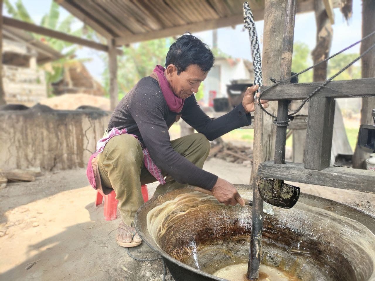 អប្សរាពីជ្រុងមួយ៖ មុខរបរឡើងត្នោត ធ្វើស្ករត្នោត (Video)