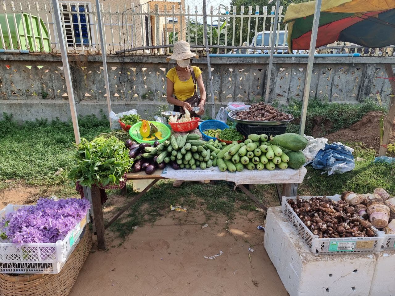 ផ្សារបន្លែ ត្រីសាច់ ក្នុងអំឡុងពេលបិទខ្ទប់ រាជធានីភ្នំពេញ និងក្រុង​តាខ្មៅ នៃខេត្តកណ្តាល៕ (មានវីដេអូ)