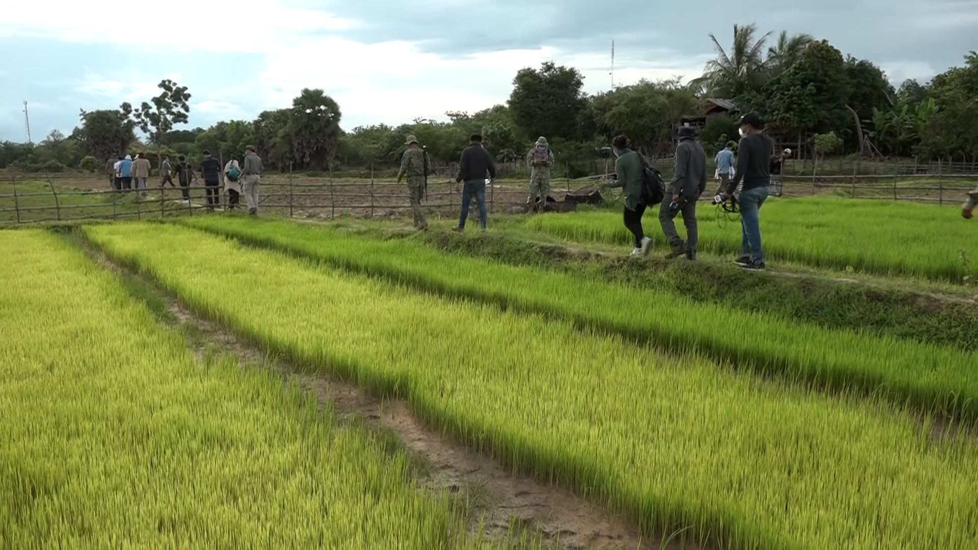 ស្រូវមិត្តភាពសង្គ្រោះមិត្តភាពចូលរួមការពារ និងអភិរក្សធនធានធម្មជាតិ និងបង្កើនចំណូលរបស់ពលរដ្ឋ