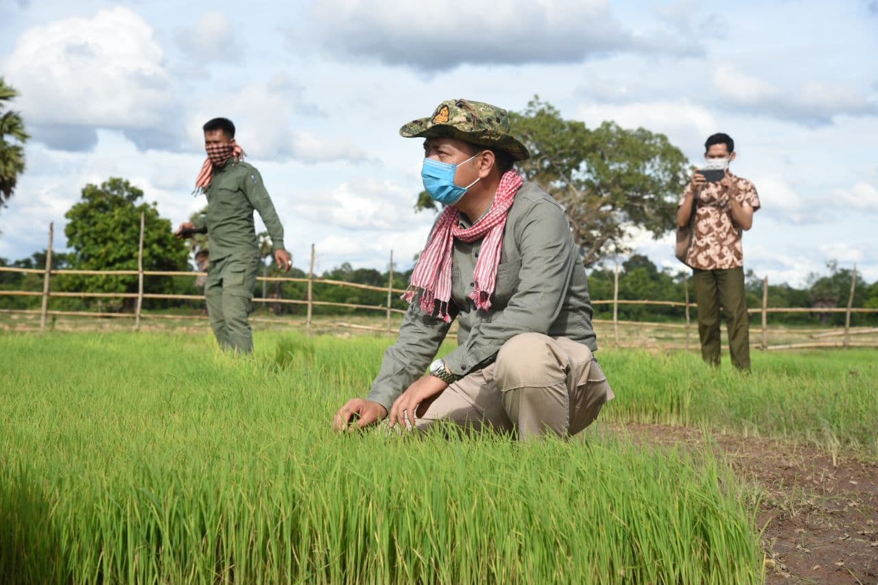 ឯកឧត្តម នេត្រ ភក្រ្តា៖ ស្រូវត្រយងចូលរួមការពារ និងអភិរក្សធនធានធម្មជាតិ និងបង្កើនចំណូលរបស់ពលរដ្ឋ