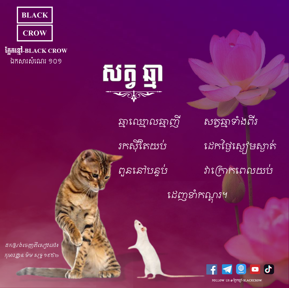 បទកាកគតិ ៖ ស្ដីពីសត្វឆ្មា