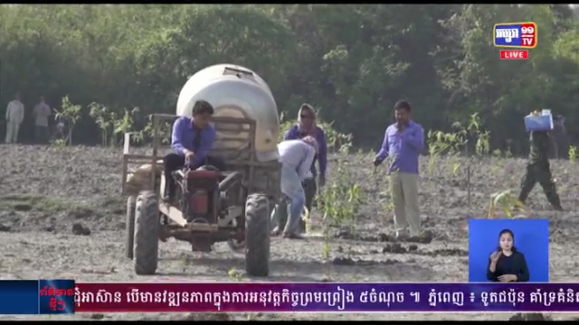 កូនឈើជាង ២០០០ដើម ត្រូវបានដាំឡើងវិញ ក្នុងតំបន់៣ នៃព្រៃលិចទឹក