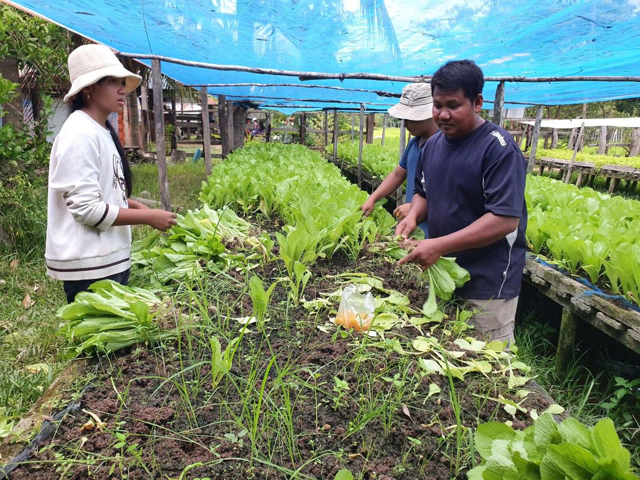 ប្រជាសហគមន៍ស្រុកសូទ្រនិគម ទទួលបានការគាំទ្រទៅលើការគាំទ្របច្ចេកទេស និងផលិតបន្លែសុវត្ថិភាព