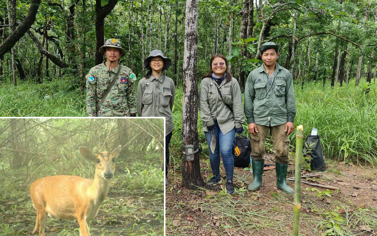 មន្រ្តីជំនាញ កំពុងសិក្សាស្រាវជ្រាវ ចំនួនសត្វឈ្លូស នៅតាមតំបន់ការពារធម្មជាតិ ក្នុងខេត្តមណ្ឌលគិរី