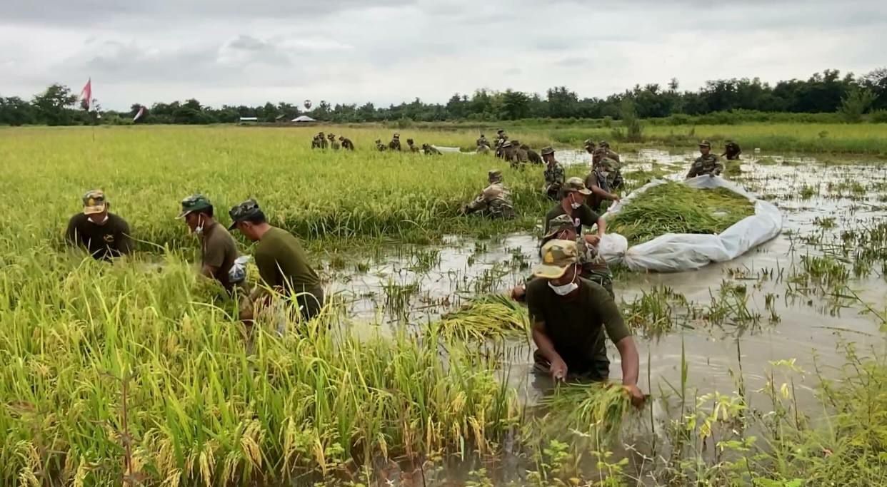 ដំណាំស្រូវជាងបួនម៉ឺនហិកតា និងផ្ទះសម្បែងជាងបីពាន់ខ្នង បានរងផលប៉ះពាល់ពីជំនន់ទឹកភ្លៀង