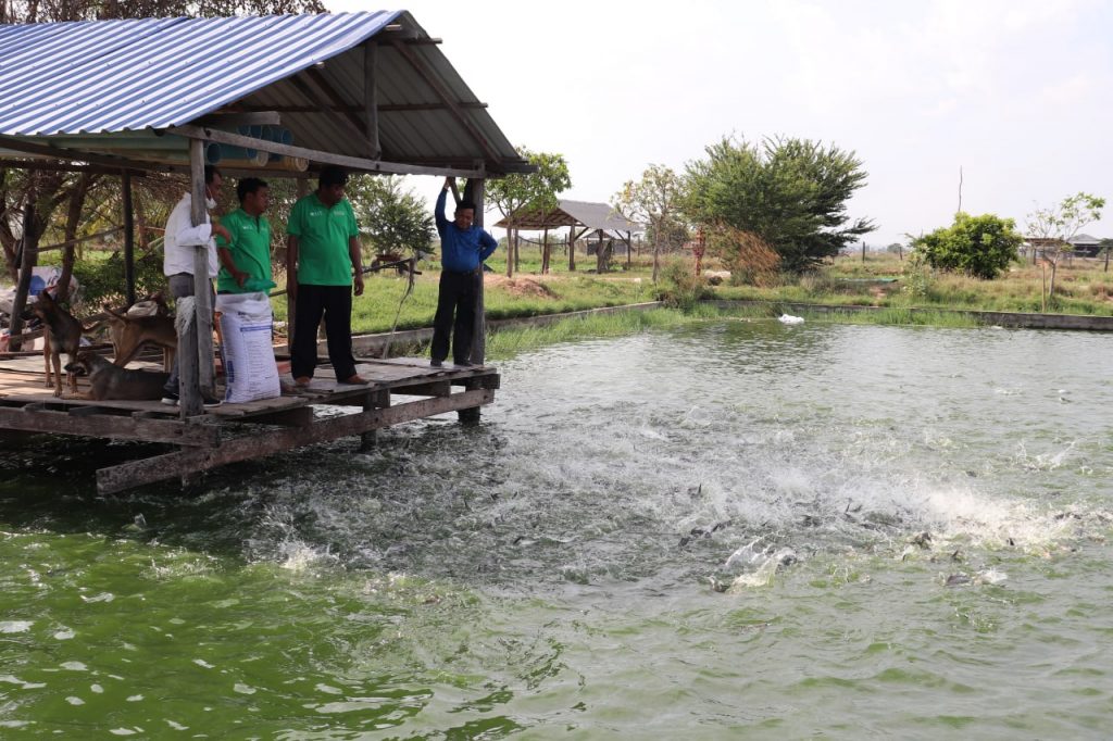 ស្ថាប័នជំនាញប្ដេជ្ញារួមគ្នាជួយប្រជាកសិករ ដើម្បីជំរុញការចិញ្ចឹមត្រីលក្ខណៈគ្រួសារ