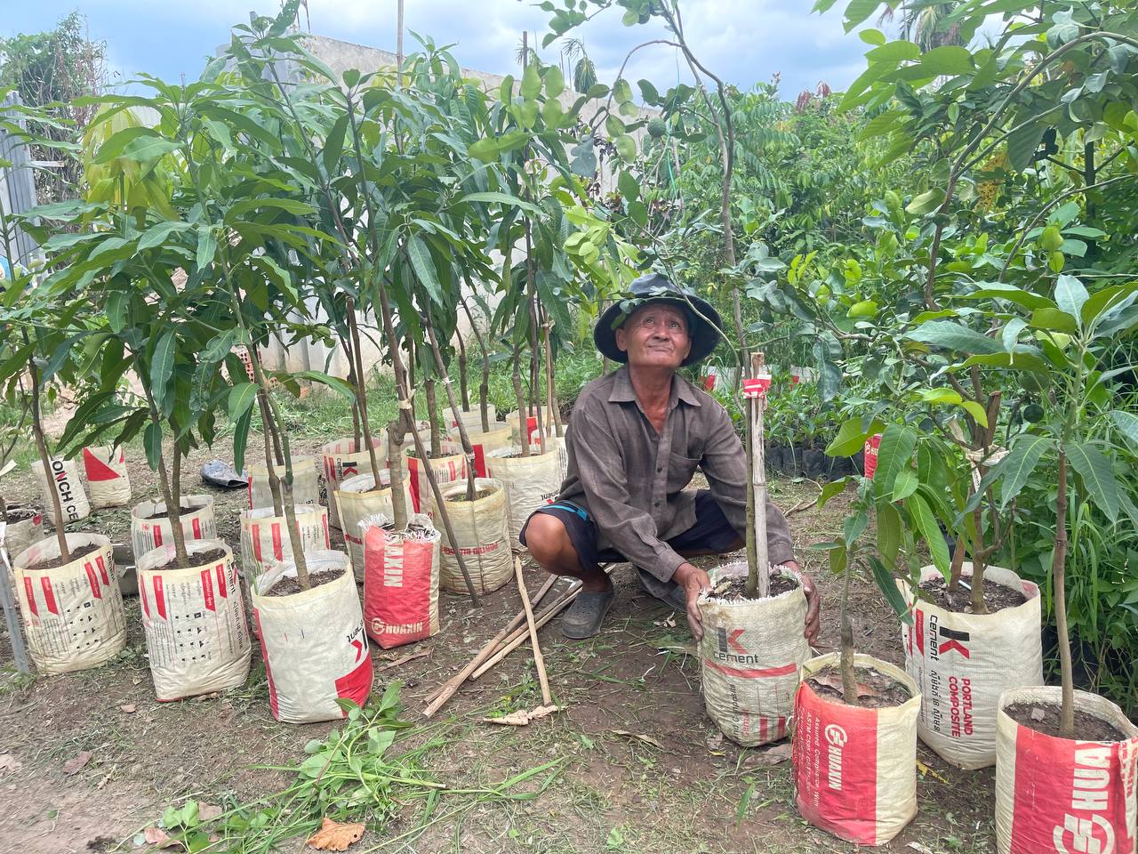 របរបណ្តុះកូនឈើរបស់ប្រជាពលរដ្ឋនៅ ព្រែកហូរ តាំងពីដូនតា កំពុងកាក់កប