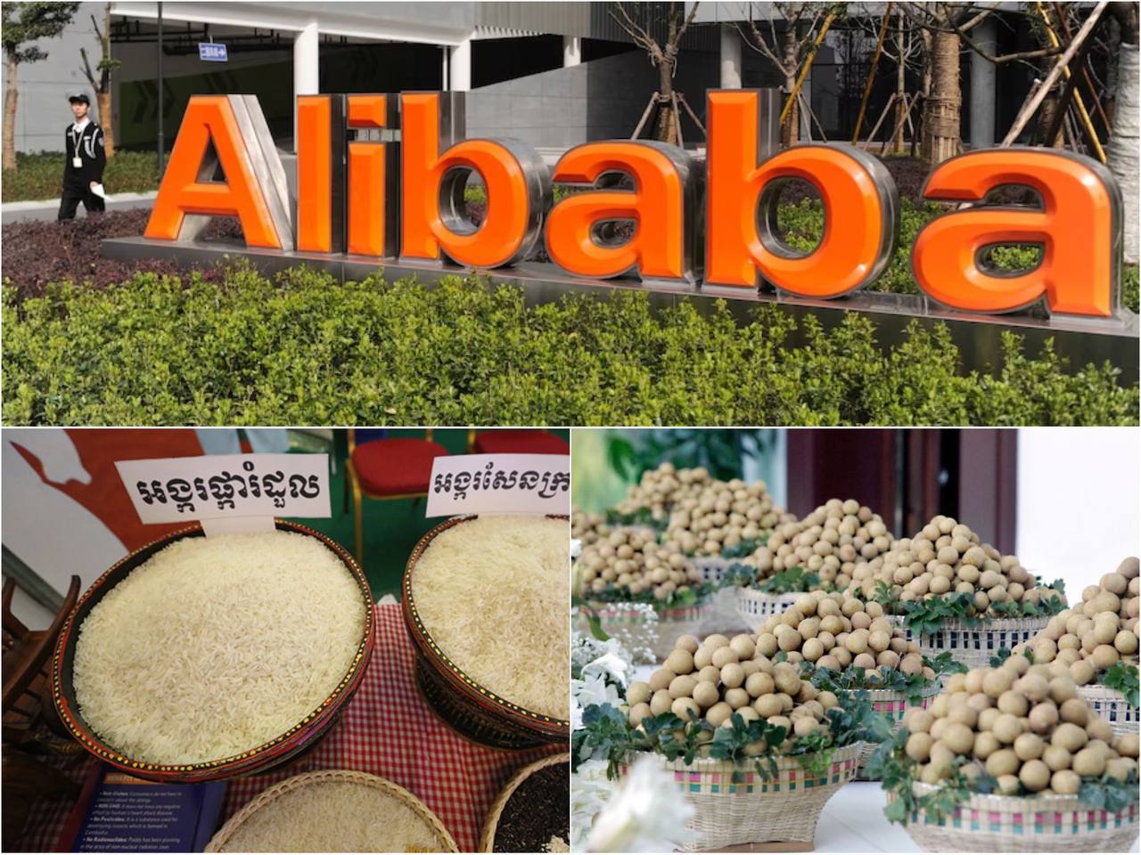 ក្រុមហ៊ុន Alibaba ដែលមានអតិថិជនសរុបចំនួនប្រមាណ ១ ៣០០ លាននាក់ នៅទូទាំងសកលលោក