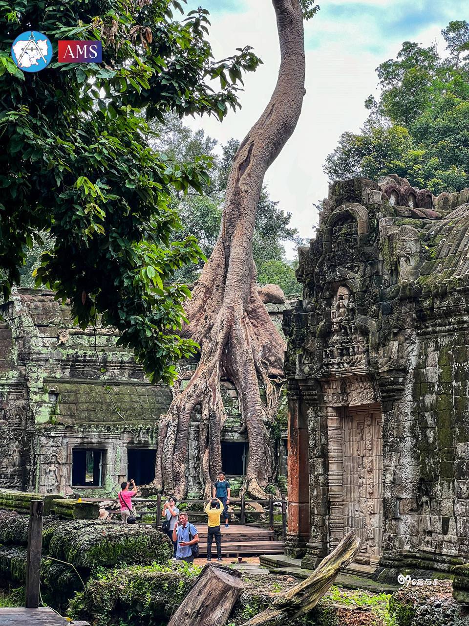 ប្រាសាទតាព្រហ្ម (រាជវិហារ) ស.វទី១២ រជ្ជកាលព្រះបាទជ័យវរ្ម័នទី៧