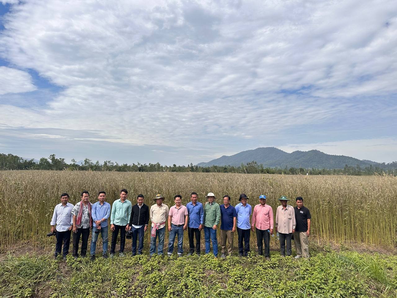 ដាំដំណាំគម្របដី ជួយឱ្យដីមានគុណភាពល្អ ជួយបរិស្ថាន និង ជួយឱ្យកសិកររកប្រាក់ចំណេញ