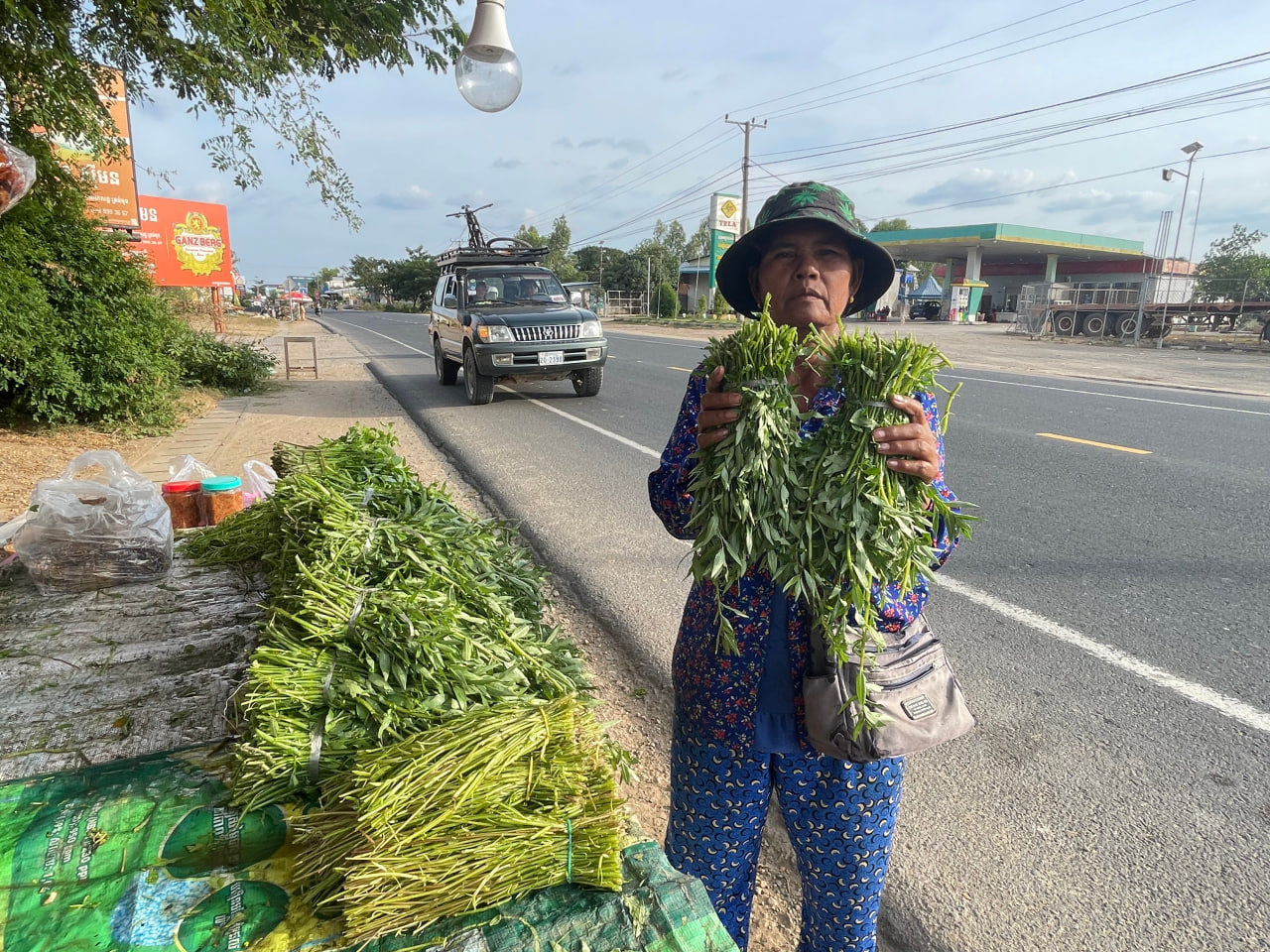 បន្លែកណ្តៀងដាក់លក់តាមផ្លូវជាតិលេខ១ ក្នុងខេត្តស្វាយរៀង ទទួលការ ចាប់អារម្មណ៍ កាន់តែច្រើន