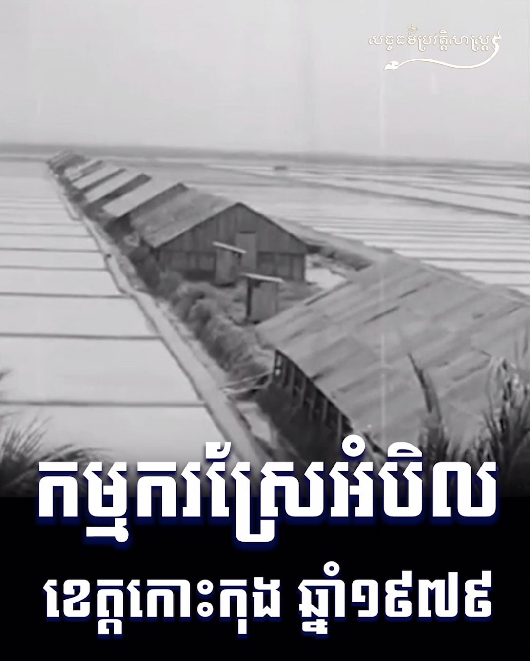 វីដេអូ៖ កម្មករស្រែអំបិល ខេត្តកោះកុង ១៩៧៩