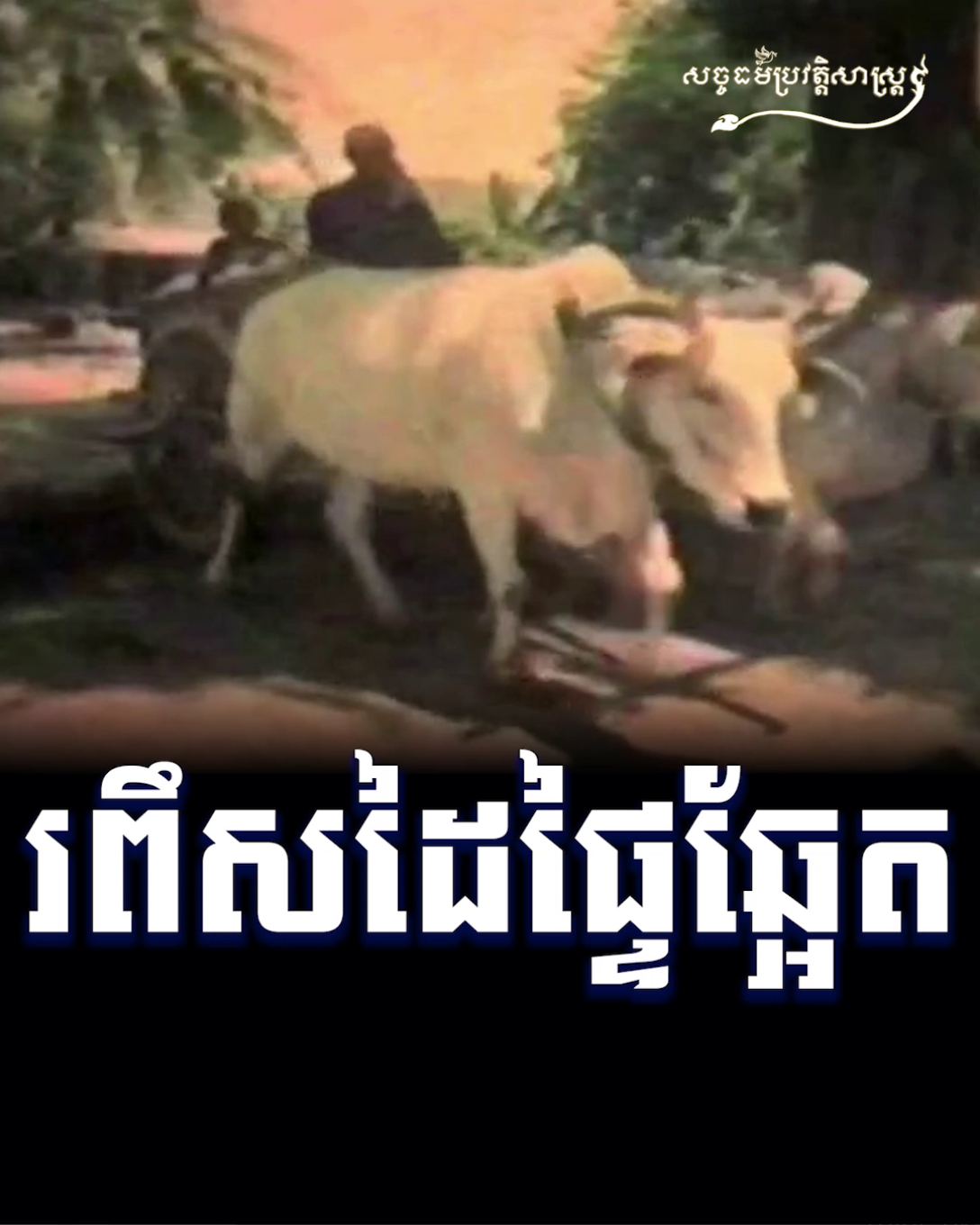 វីដេអូ៖ រពឹសដៃផ្ទៃឆ្អែត