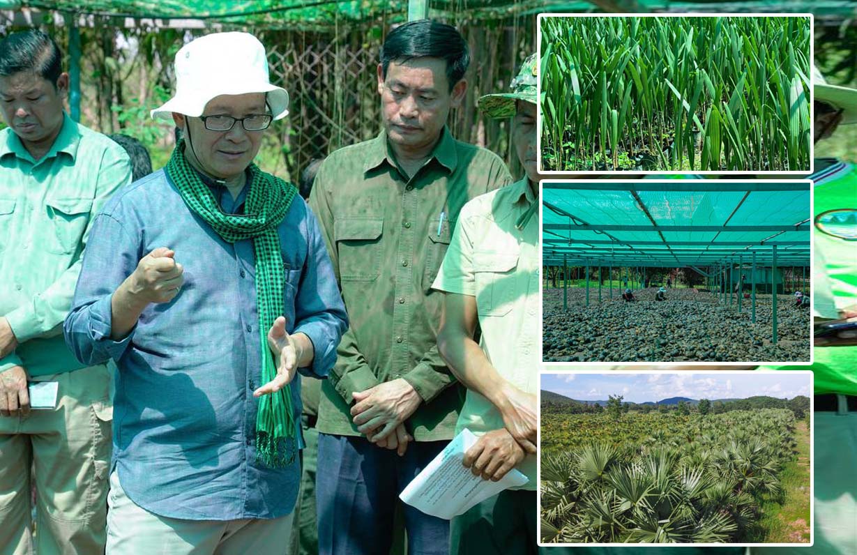 យុវជនកម្ពុជា កំពុងរួមគ្នាដាំកូនត្នោតជាបន្តបន្ទាប់នៅតាមខ្សែក្រវ៉ាត់ព្រំដែន កម្ពុជា-វៀតណាម