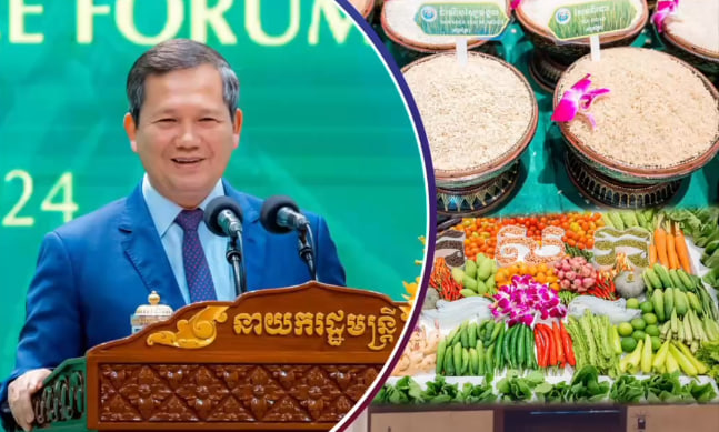 រាជរដ្ឋាភិបាល ផ្តល់ការយកចិត្តទុកខ្ពស់លើវិស័យស្រូវអង្ករ ដោយផ្តល់ការលើកទឹកចិត្តជាច្រើន ដូចជាការអនុគ្រោះពន្ធជាដើម